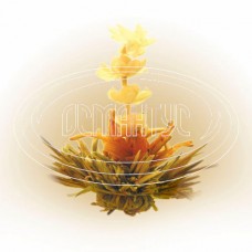 Tea weight White beauty 500g